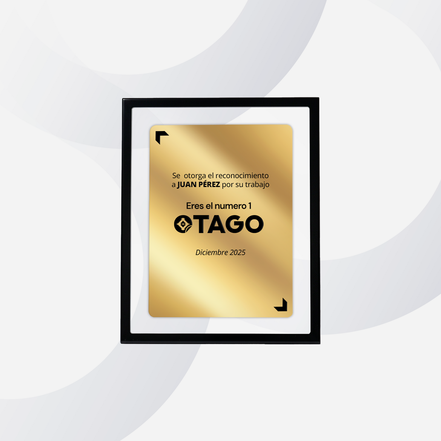 Placas de Reconocimiento