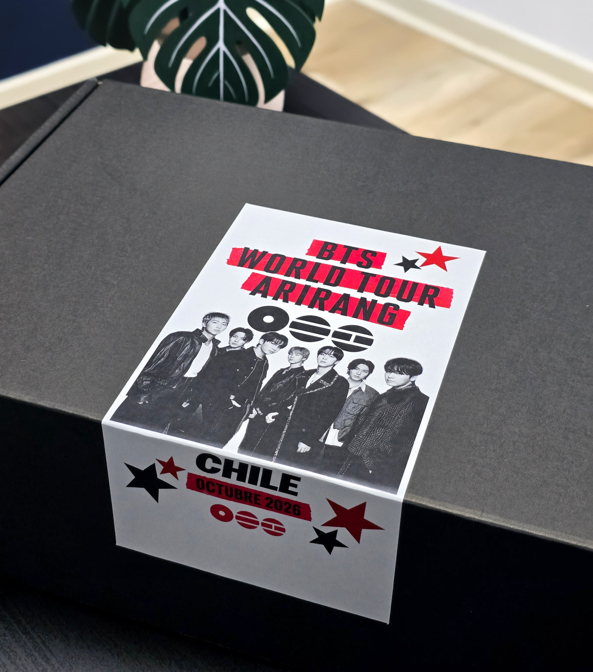 Caja BTS World Tour Arirang en Chile cerrada sobre una mesa, con una planta detrás